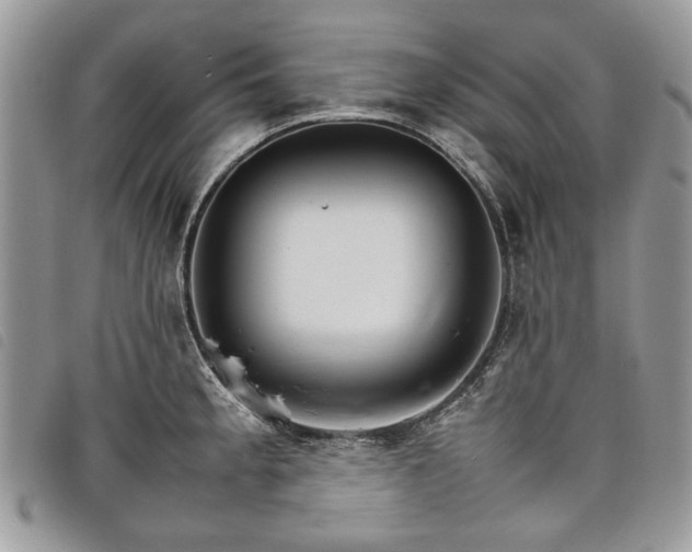 X0000098041189200804071433