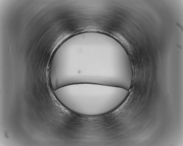 X0000098041190200804071433