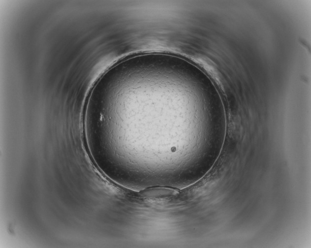 X0000098041191200804071433