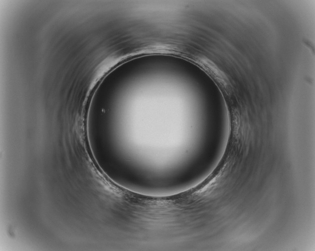 X0000098041192200804071433