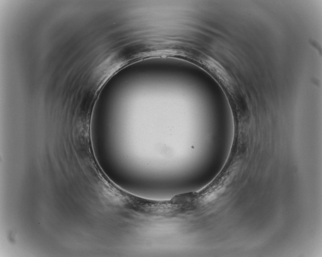 X0000098041193200804071433