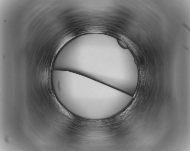 X0000098041194200804071433