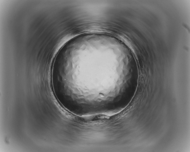 X0000098041195200804071433