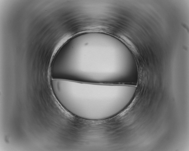 X0000098041196200804071433