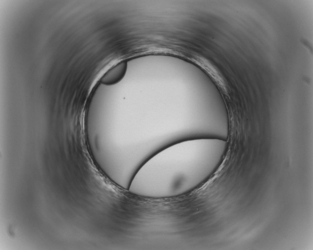 X0000098041198200804071433