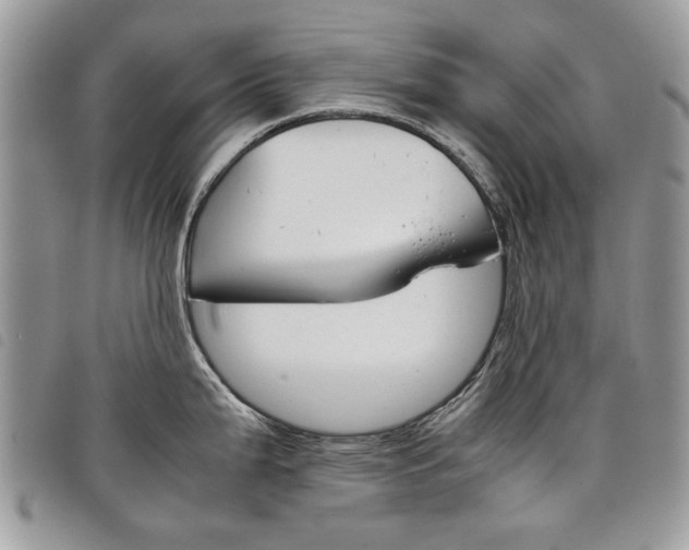 X0000098041199200804071433