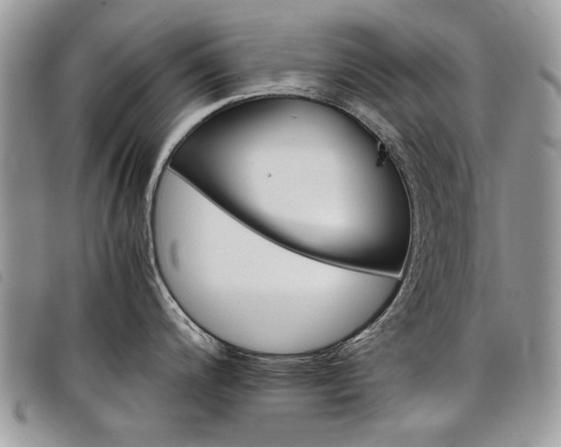 X0000098041200200804071433
