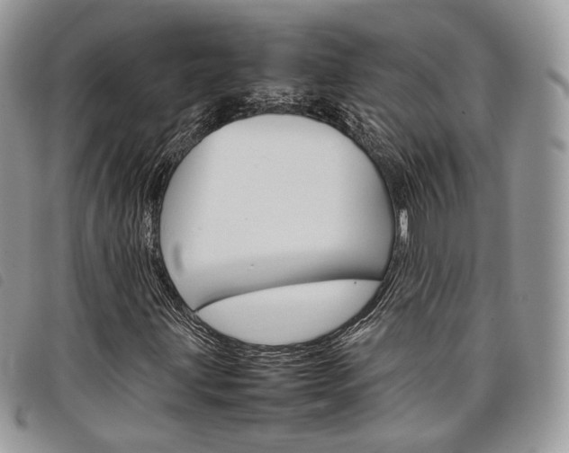 X0000098041203200804071432
