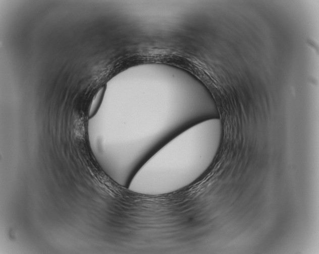 X0000098041204200804071432