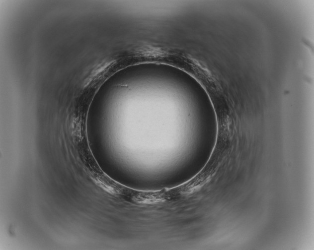 X0000098041205200804071432