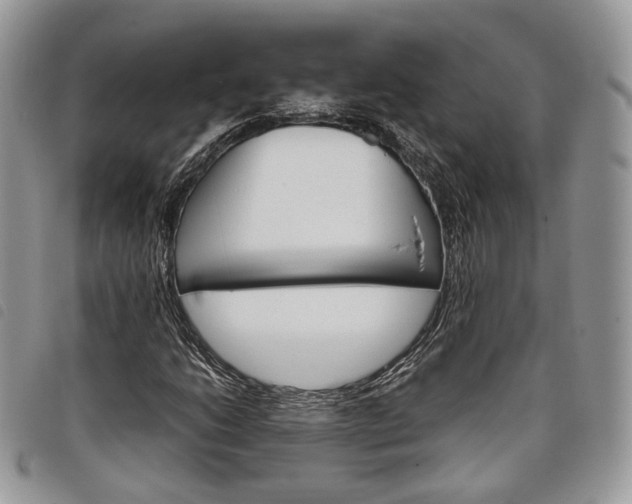 X0000098041206200804071432