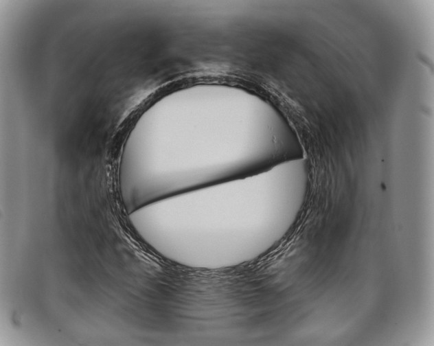 X0000098041208200804071432
