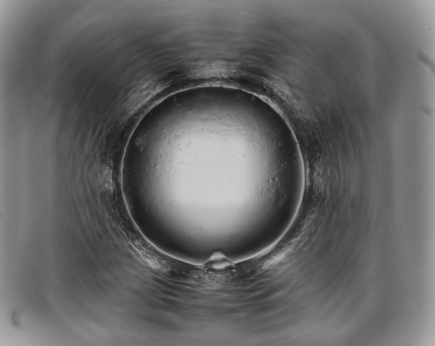 X0000098041209200804071432