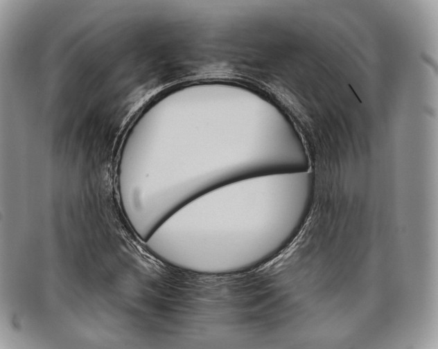 X0000098041212200804071432