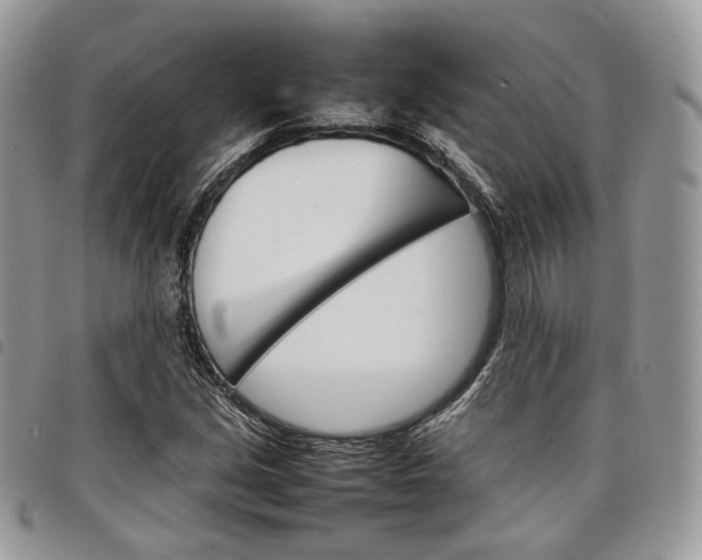 X0000098041213200804071432