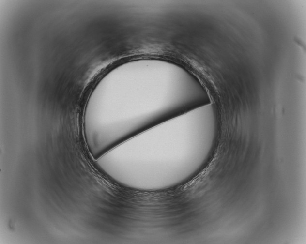X0000098041214200804071432