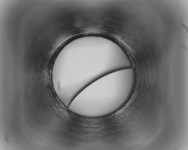 X0000098041215200804071432