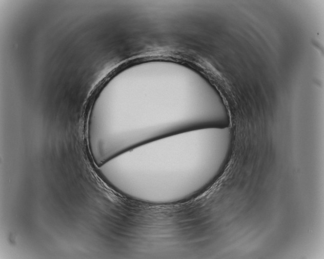 X0000098041216200804071432