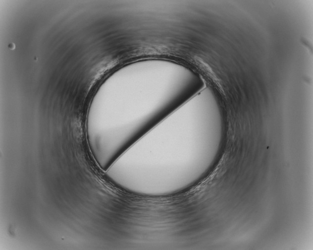 X0000098041218200804071432