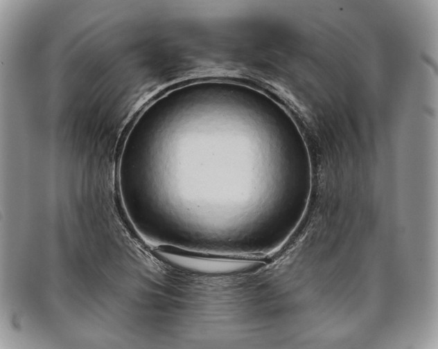 X0000098041220200804071432