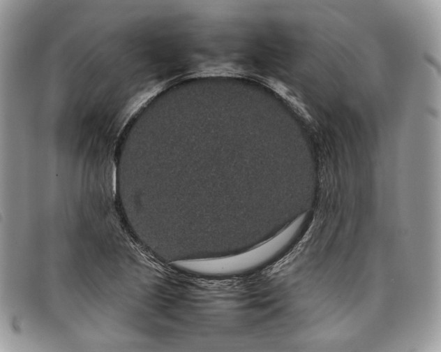X0000098041221200804071432