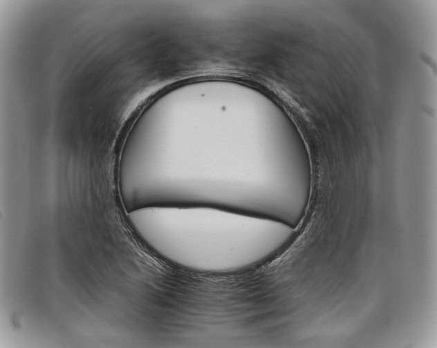 X0000098041222200804071432