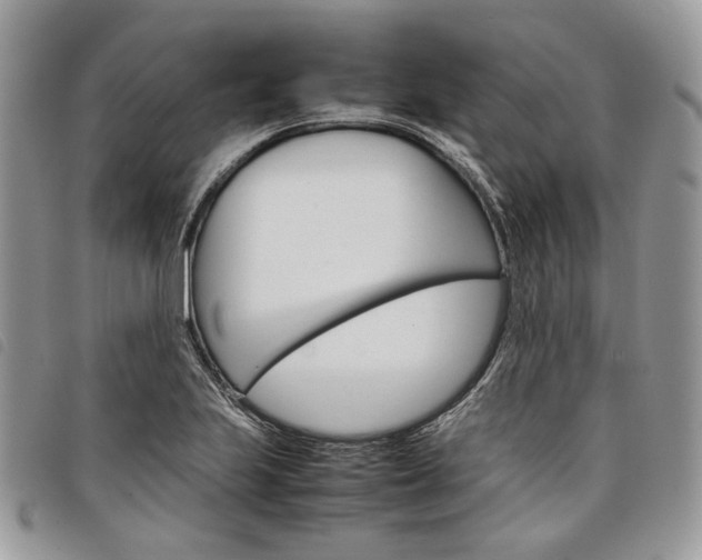 X0000098041223200804071433