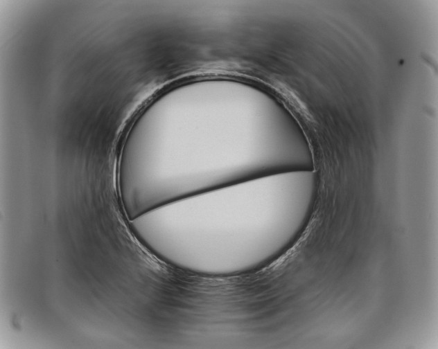X0000098041224200804071433