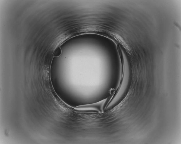 X0000098041225200804071433