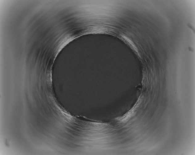 X0000098041226200804071433