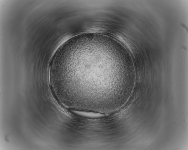 X0000098041227200804071433