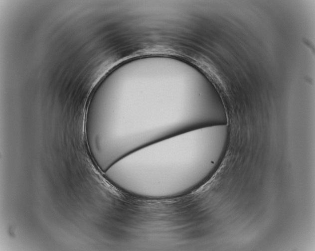 X0000098041228200804071433