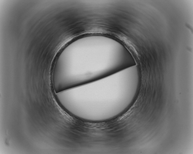 X0000098041229200804071433