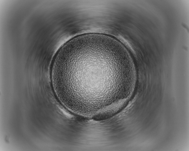 X0000098041230200804071433