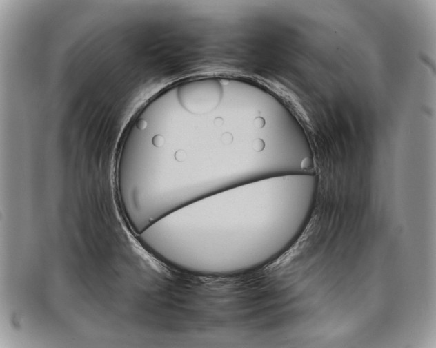 X0000098041231200804071433