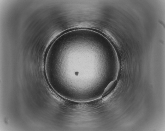 X0000098041232200804071433