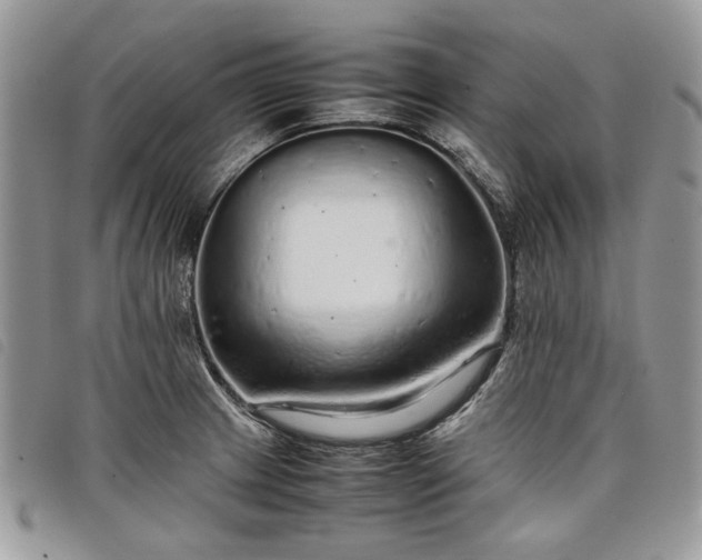 X0000098041233200804071433