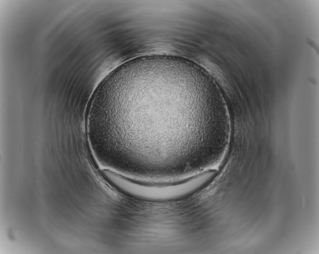 X0000098041234200804071433