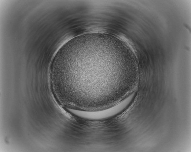 X0000098041235200804071433