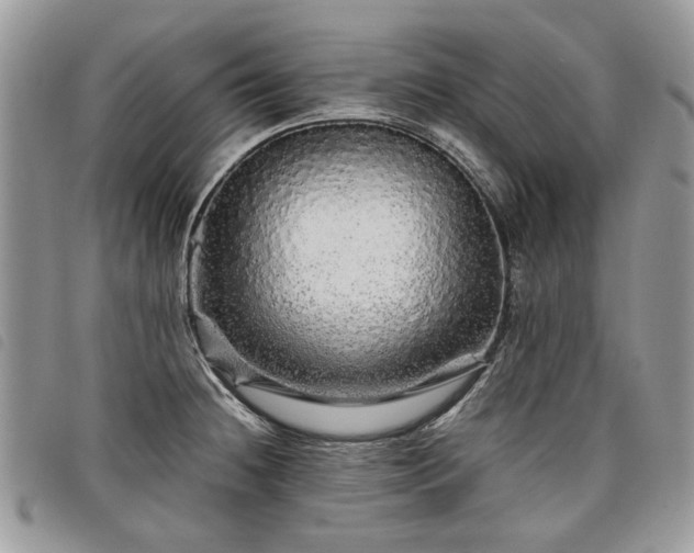 X0000098041236200804071433