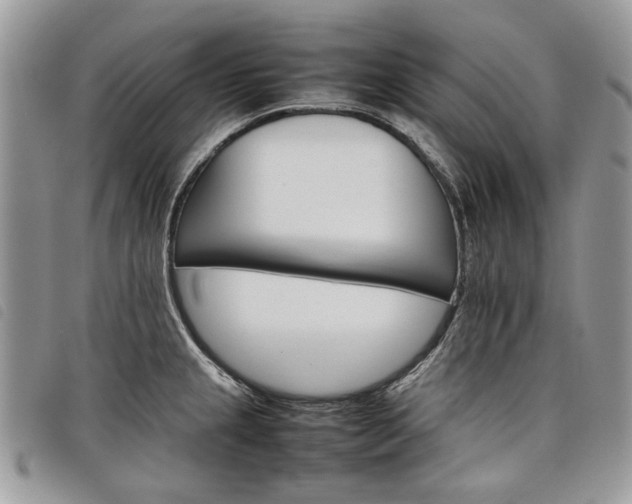 X0000098041237200804071433