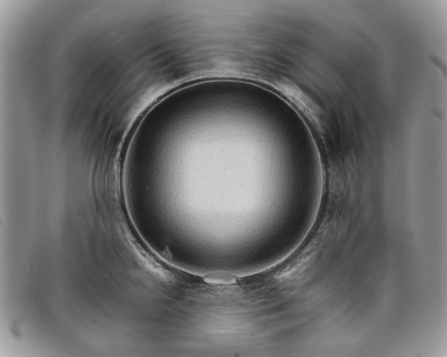 X0000098041238200804071433