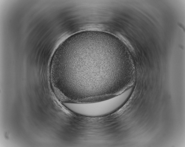 X0000098041240200804071433