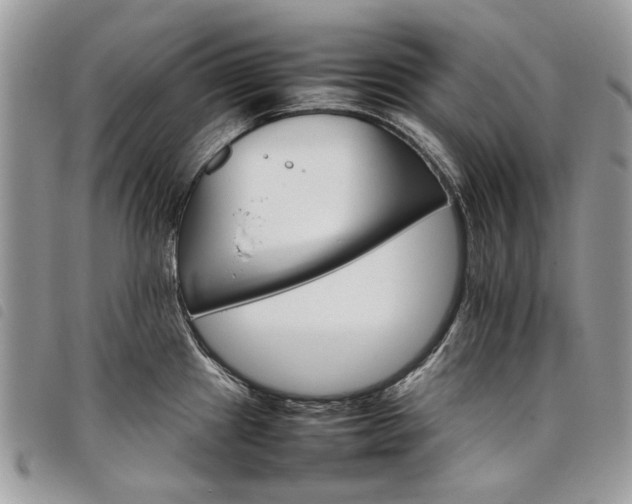 X0000098041241200804071433