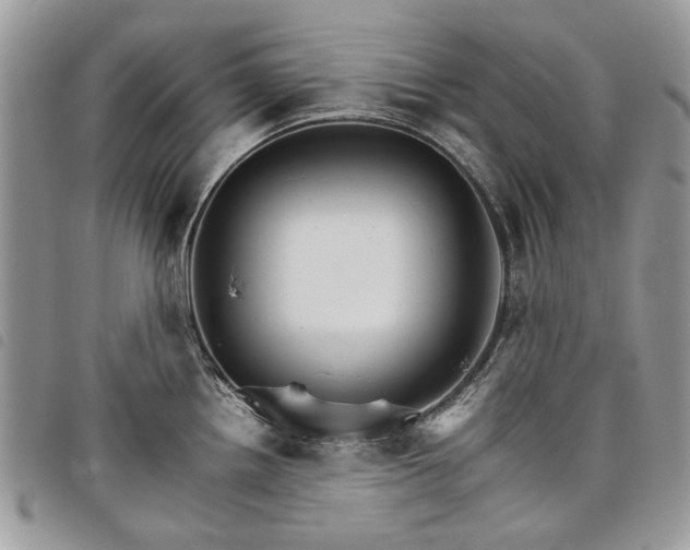 X0000098041242200804071433
