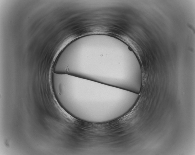 X0000098041243200804071433