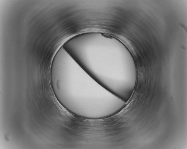 X0000098041244200804071433