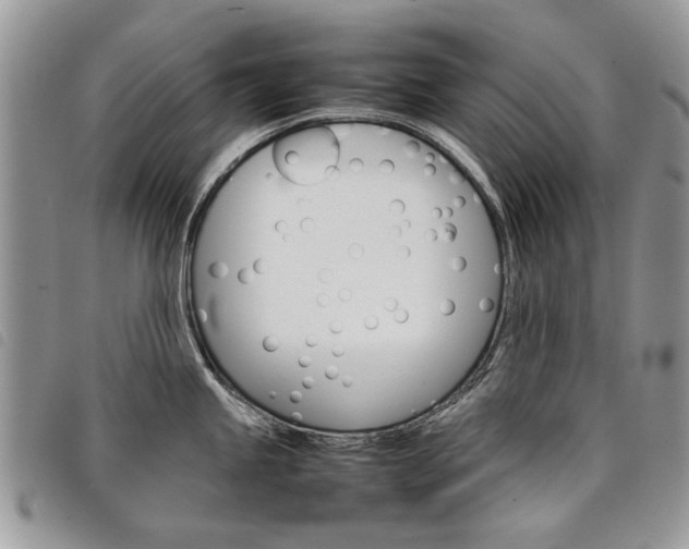 X0000098041245200804071433