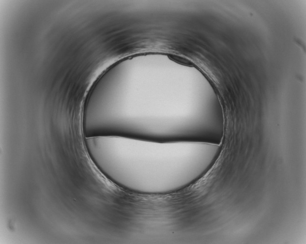 X0000098041246200804071433