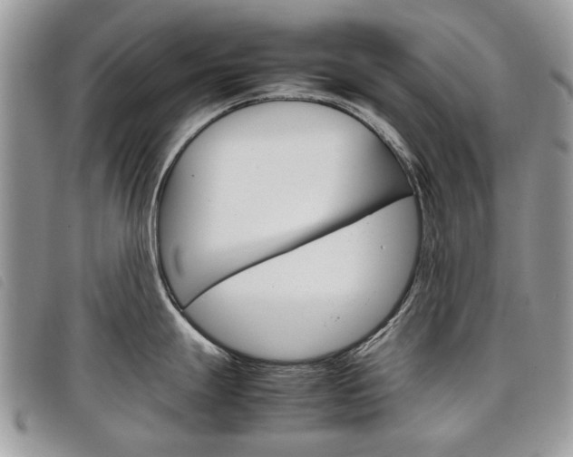 X0000098041247200804071433